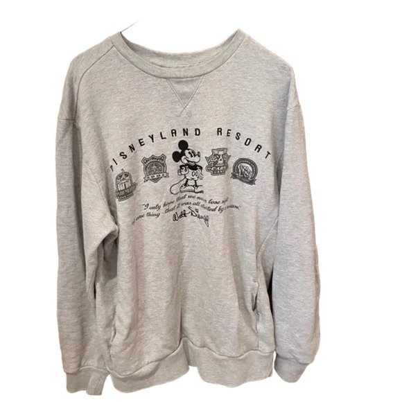 Disney Sweaters - Official Disney Parks Merchandise Walt Disney World Sweatshirt, EUC, Size M
